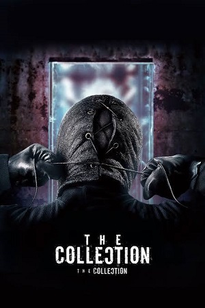 The Collection
